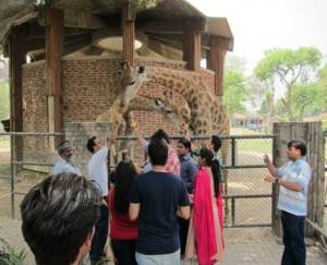 Lahore alumni visit zoo